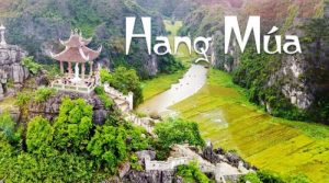 Tour Hang Múa Ninh Bình 5